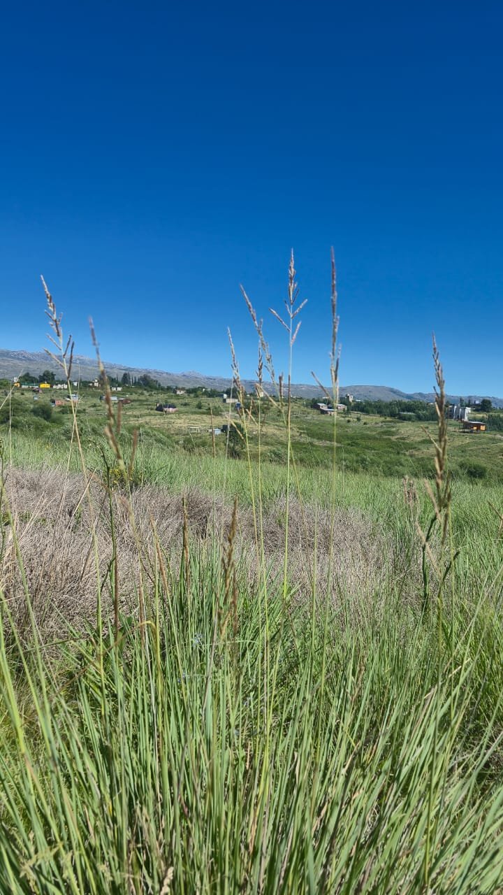 3f822061-df45-482c-ade2-6ef312c494e0